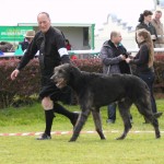IMG_7745
